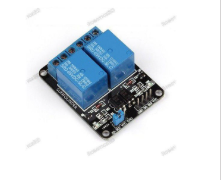 Dual Relay Output Module