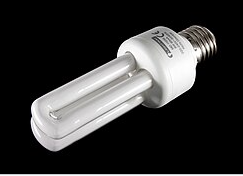 CFL (Compact Fluorescent Lamp)