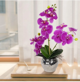 Orchid flower Artificial rubber tree plant for home decoration. flower, flowers, grass, hanging, wall, leaf, carpet, pot, cutter, light stand, indoor